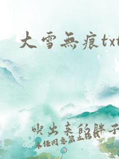 大雪无痕txt