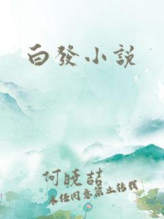 白发小说