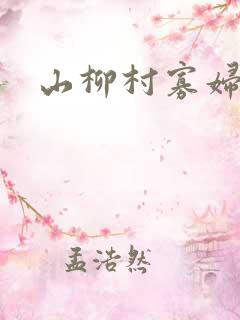 山柳村寡妇情史