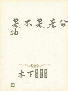 是不是老公的小sb