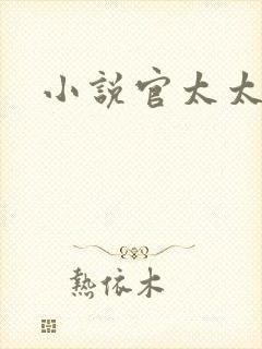 小说官太太