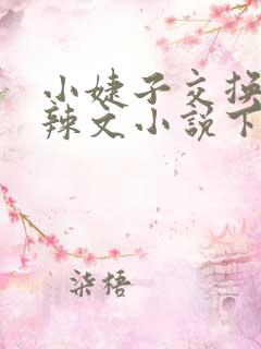 小婕子交换系列辣文小说下载