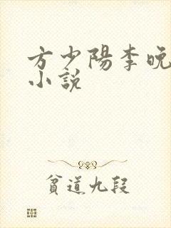 方少阳李晚晴的小说