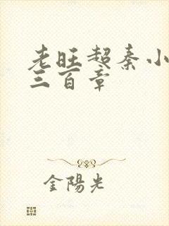 老旺超秦小雨第三百章