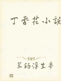 丁香花小说
