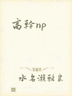 高干np