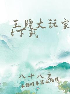 王牌大玩家txt下载