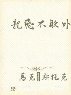龙飞不败外传