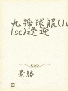 九号球服(1v1sc)逢迎
