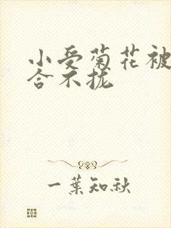 小受菊花被双龙合不拢