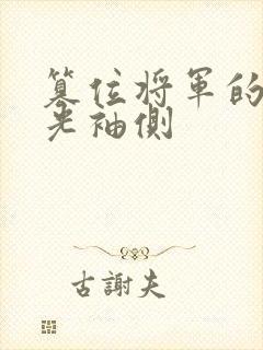 篡位将军的白月光袖侧