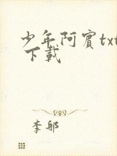 少年阿宾txt 下载