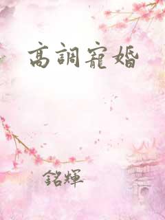高调宠婚
