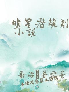 明星潜规则之皇 小说