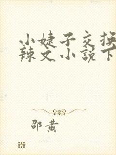 小婕子交换系列辣文小说下载