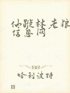 仙踪林老狼贰佰信息网