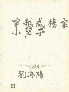 穿越成杨家将最小儿子