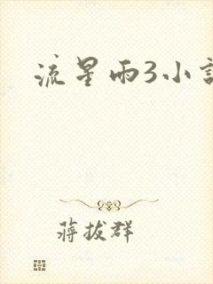 流星雨3小说