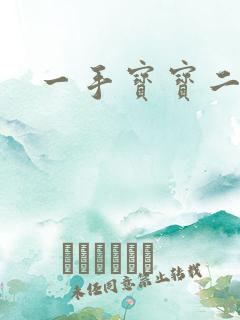 一手宝宝二手妻