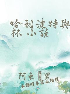 哈利波特与火焰杯 小说