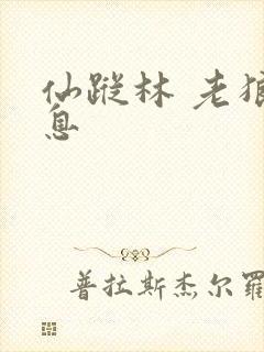 仙踪林 老狼信息