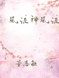 风流神风流记