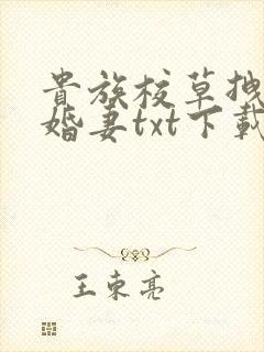 贵族校草拽拽未婚妻txt下载