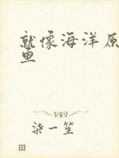 就像海洋原谅了鱼