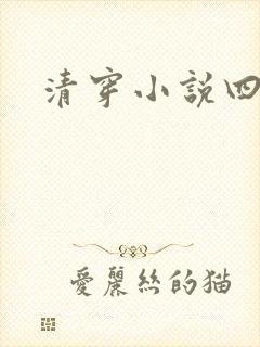 清穿小说四四