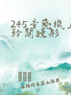 245章飞机上干关晓彤