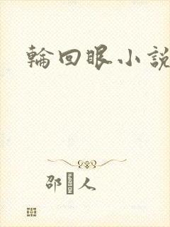 轮回眼小说