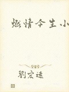 燃情今生小说