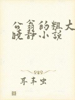 公翁的粗大放进晓静小说