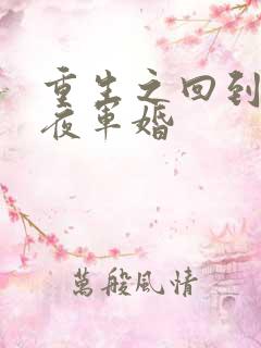 重生之回到新婚夜军婚