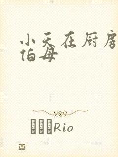 小天在厨房插杨伯母