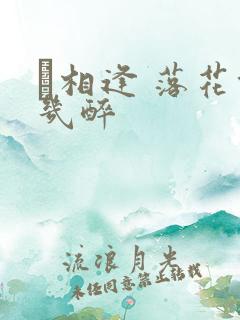 囍相逢 落花能几醉