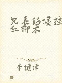 兄长的侵控by红柳木