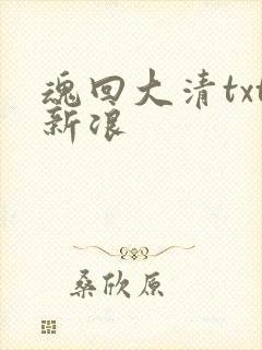 魂回大清txt新浪