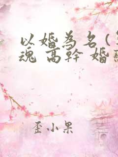 以婚为名 (军魂 高干 婚恋)