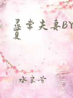 寻常夫妻BY写夏