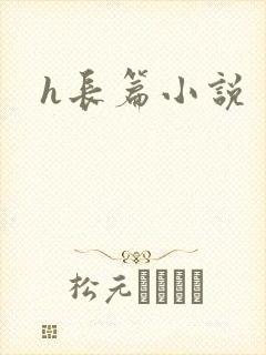 h长篇小说