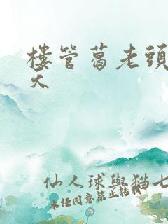 楼管葛老头的春天