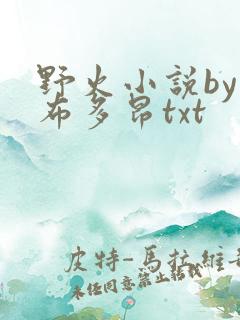 野火小说by夏布多昂txt