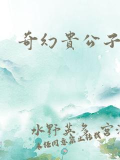 奇幻贵公子下载