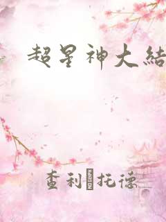 超星神大结局