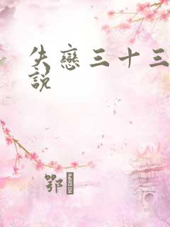 失恋三十三天小说
