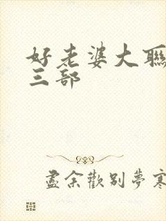 好老婆大联盟第三部