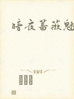 暗夜蔷薇魅