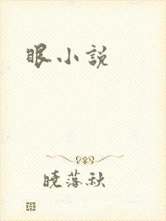 眼小说
