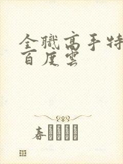 全职高手特别篇百度云